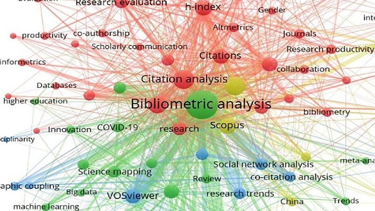 Bibliometrics for Strategic Publishing and Research